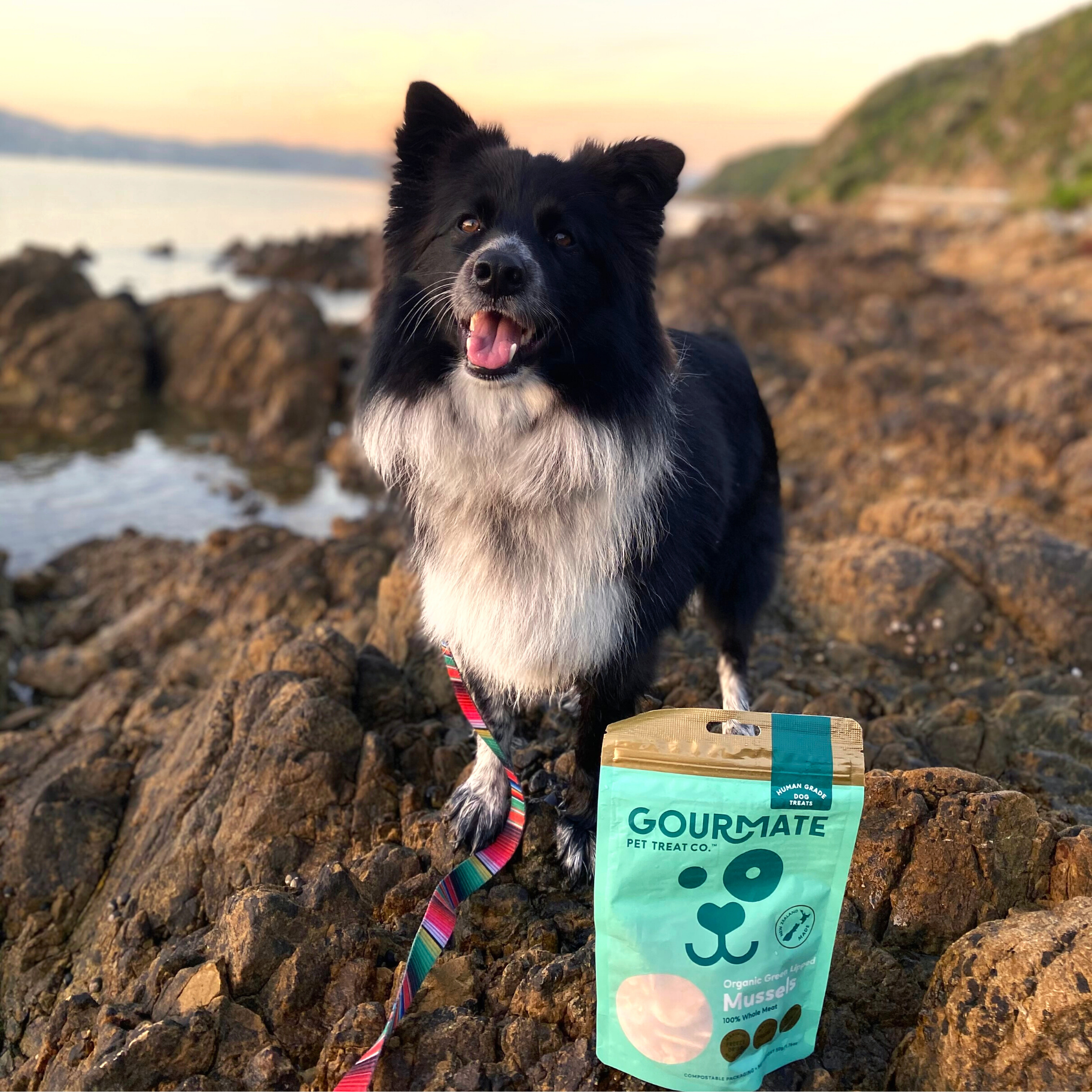 Gourmate