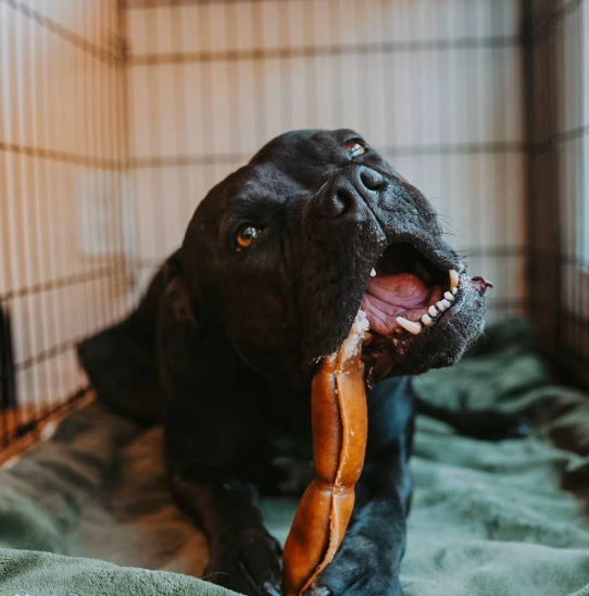 Chews