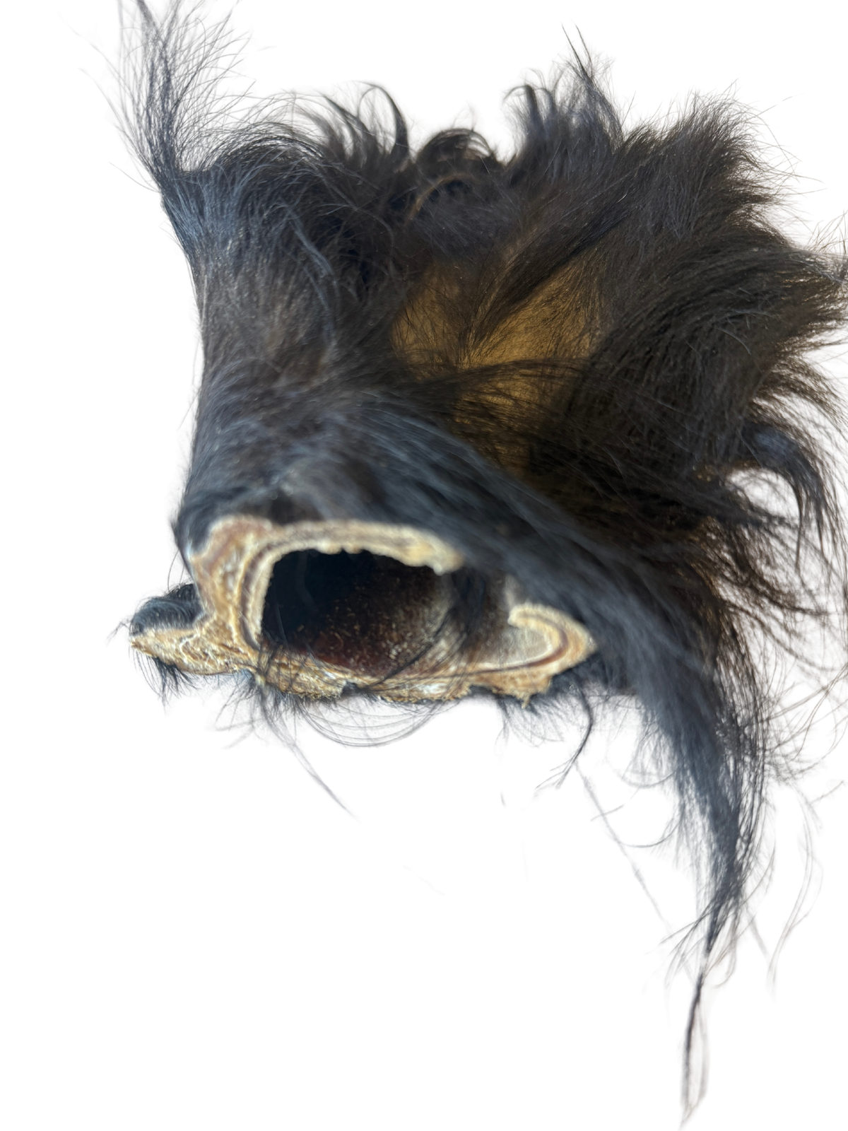 Dehydrated Grass-Fed Beef Ear (Hairy - JUMBO)