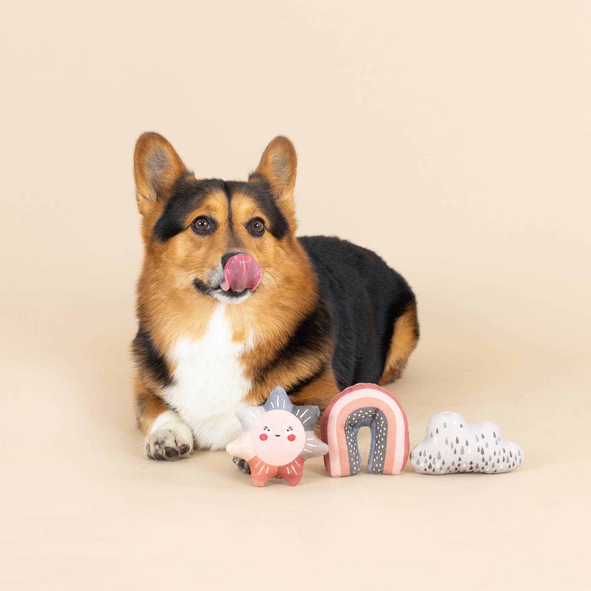 Rain or Shine Mini Canvas Toys Set