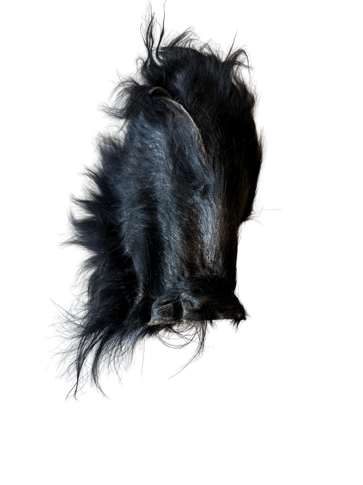 Dehydrated Grass-Fed Beef Ear (Hairy - JUMBO)