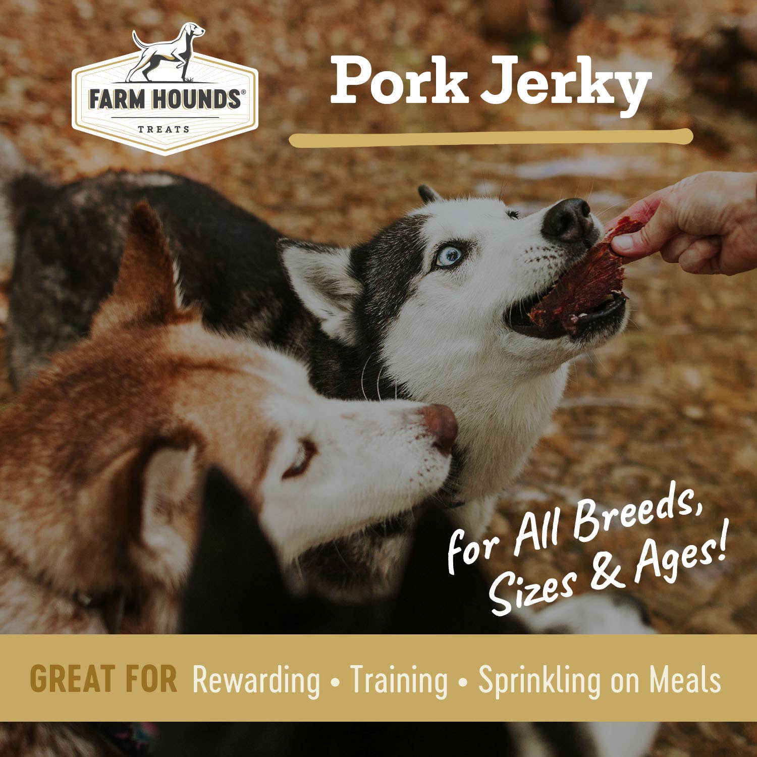 Pork Jerky