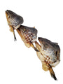 Salmon Head Chew (2-halves)