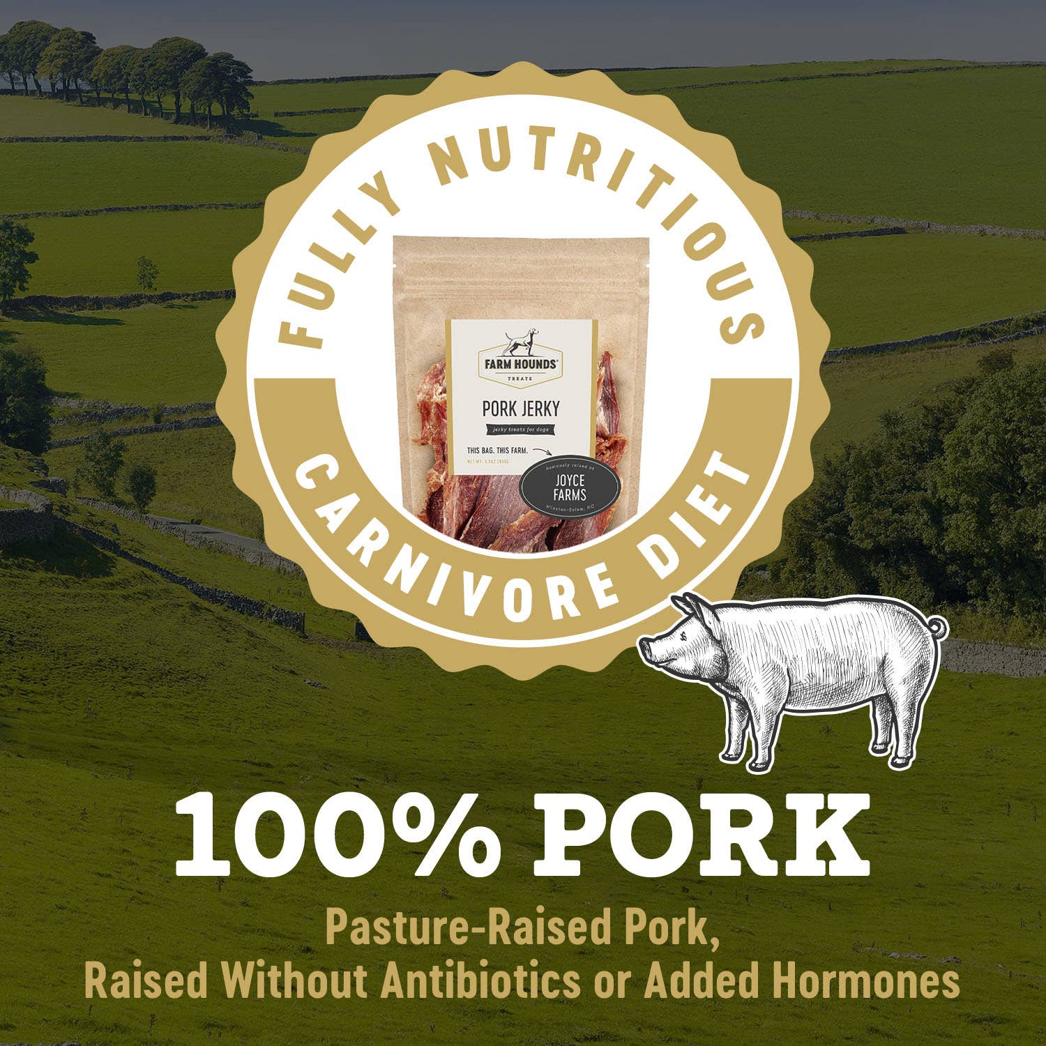 Pork Jerky