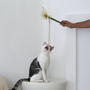 Flora Cat Wand Toy