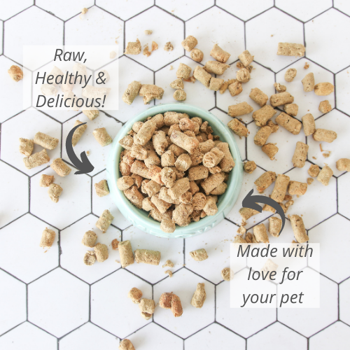Wild Goat Freeze Dried Dog Food 1.76oz | 9.9oz