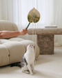 Anthurium Flora Wand
