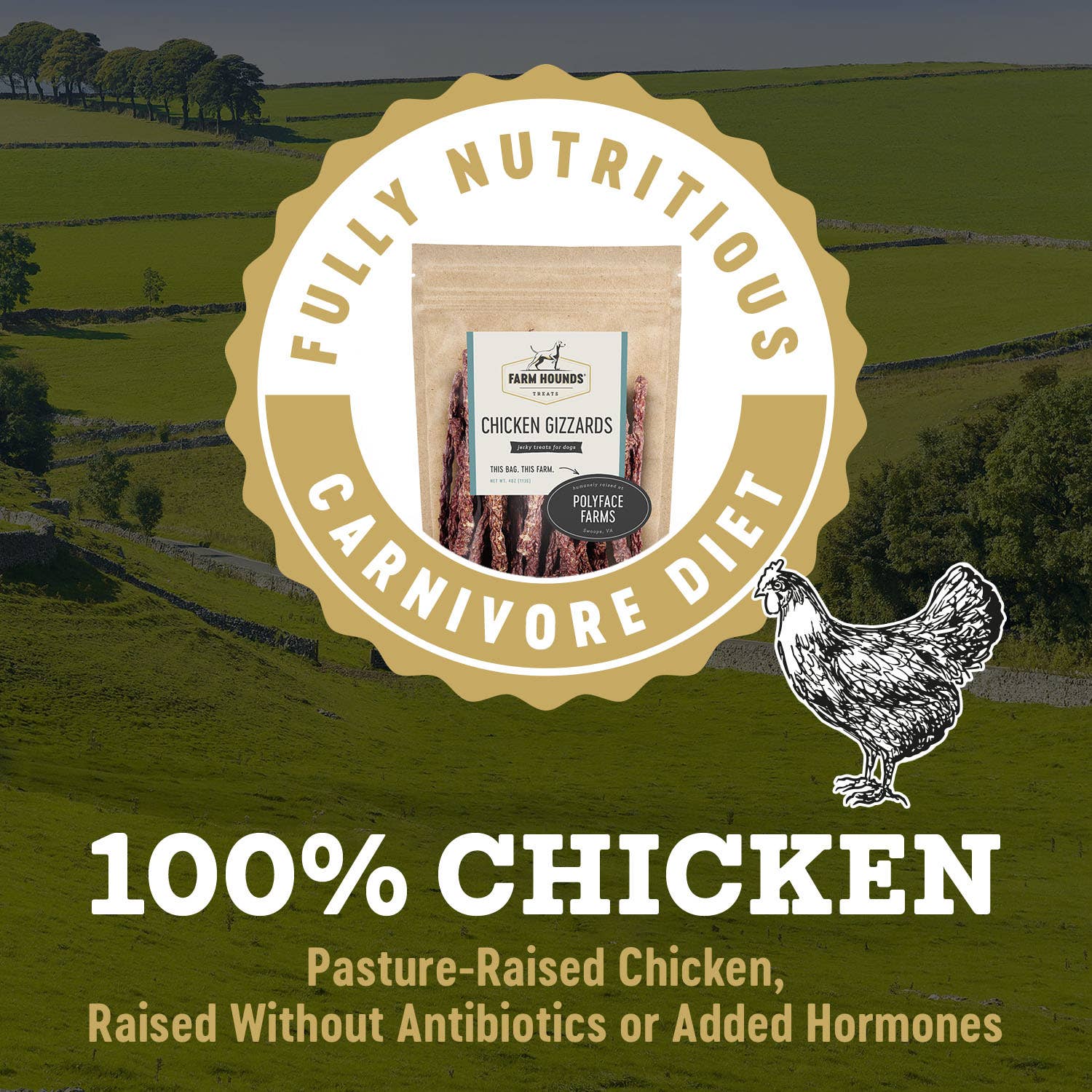 Chicken Gizzard