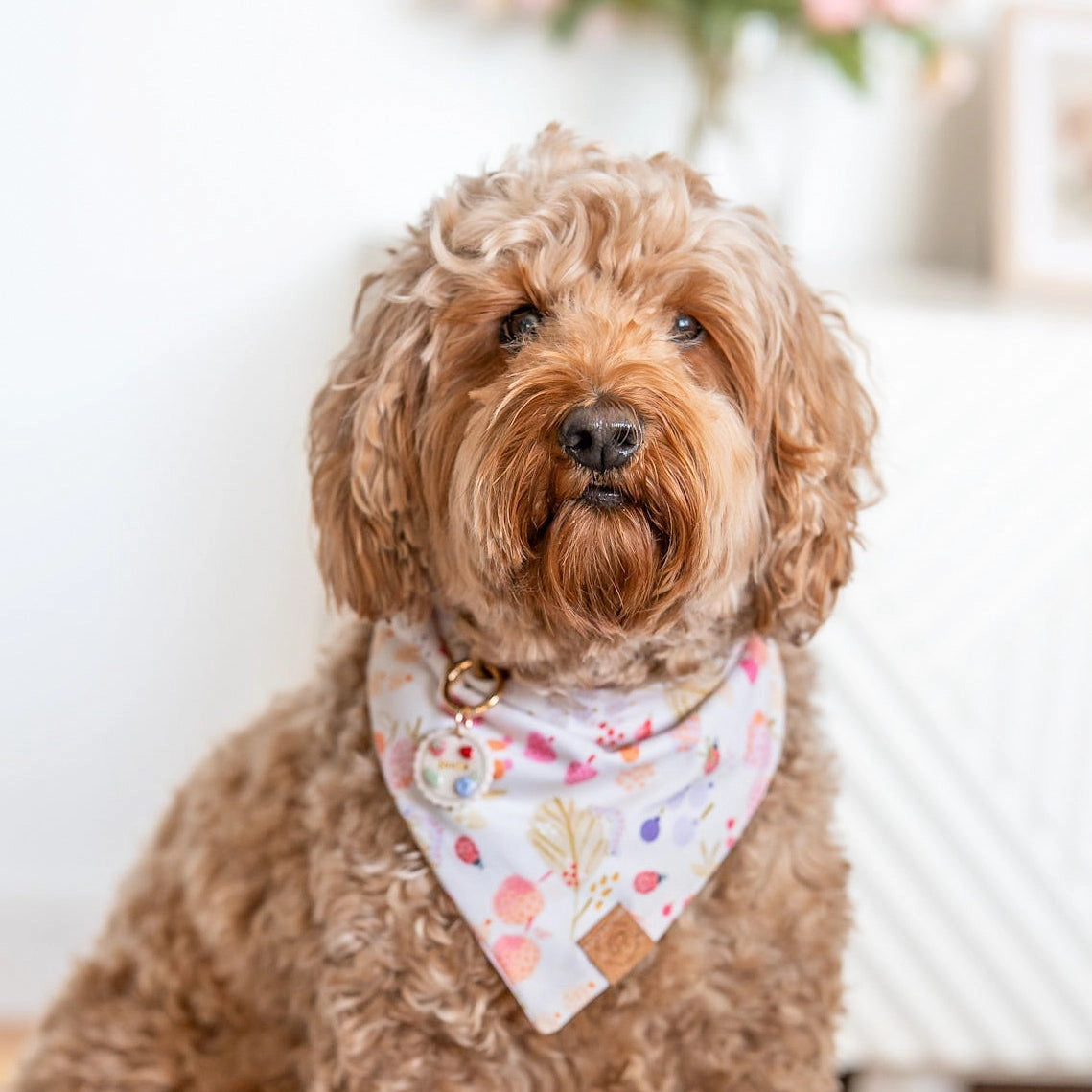 Brown dog wearing a colorful bandana with a blurred background