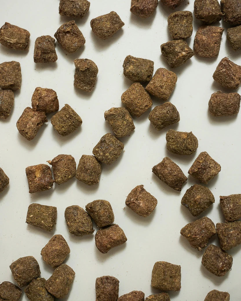 Bison Organ Blend Treats