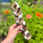 Braided Rabbit Hide Dog Chew (1pc)