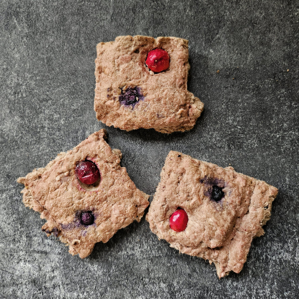 Freeze-Dried Camel &amp; Organic Medley Bites