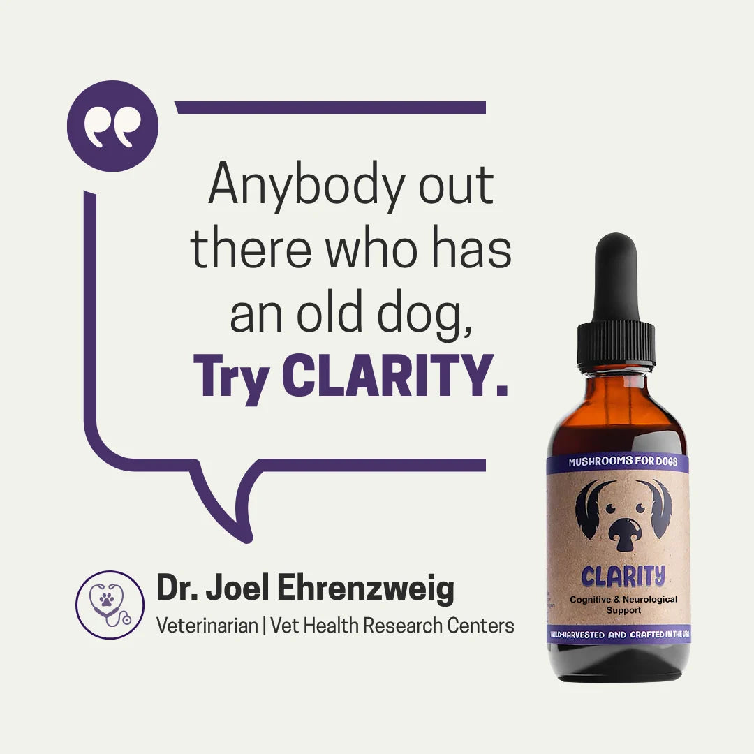 MycoDog Clarity - 2oz