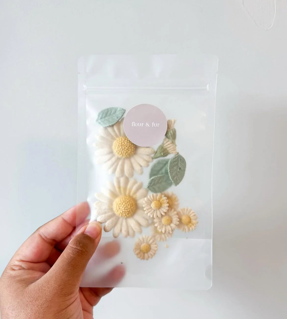 Dainty Daisies