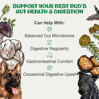 MycoDog Digest - 2oz