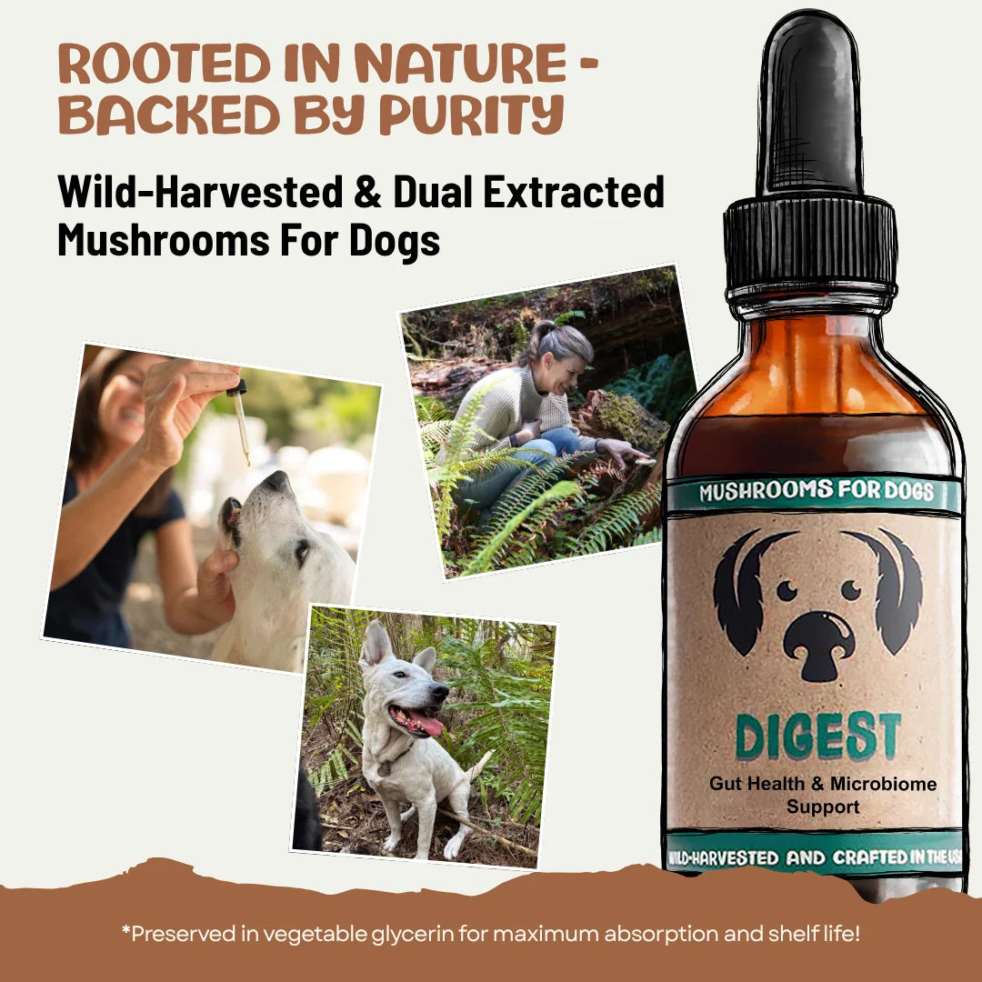 MycoDog Digest - 2oz