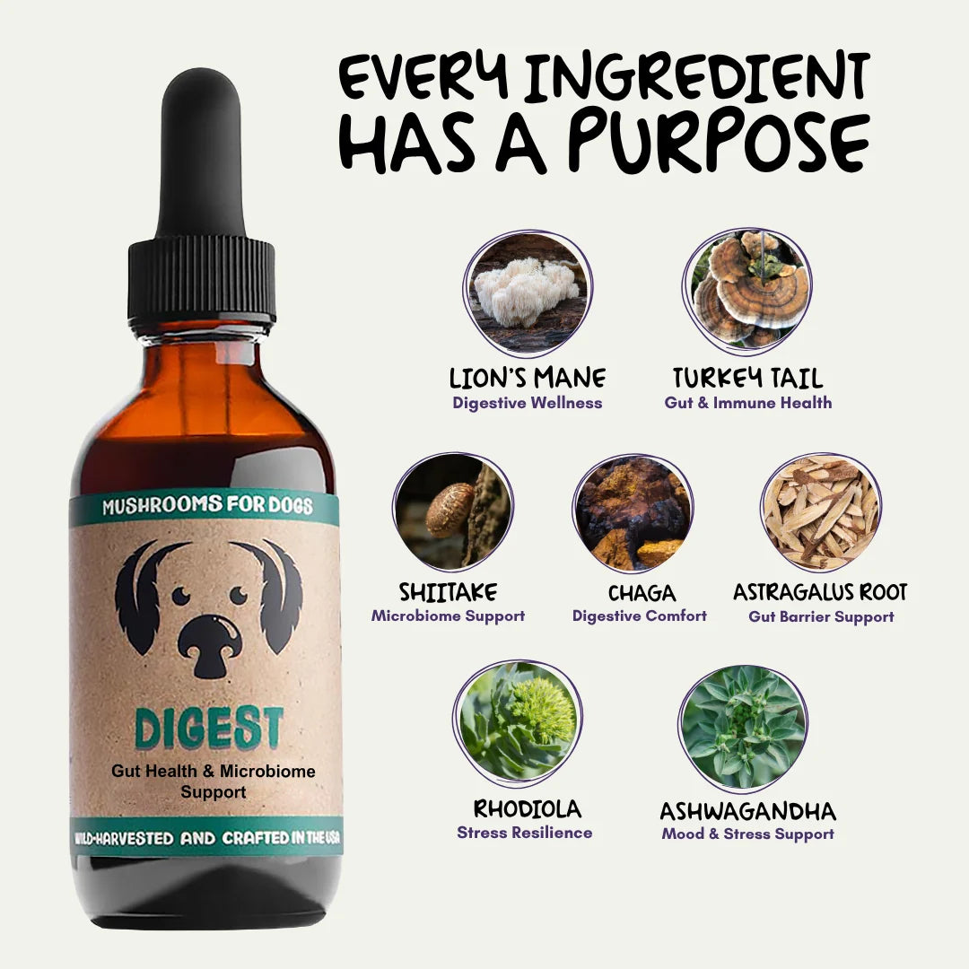 MycoDog Digest - 2oz