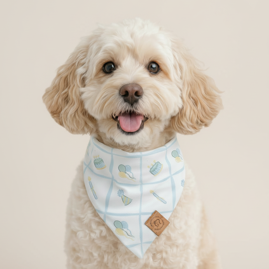 Dog wearing a blue bandana with cartoon designs on a white background
