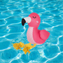 Be Flamazing Floating Toy