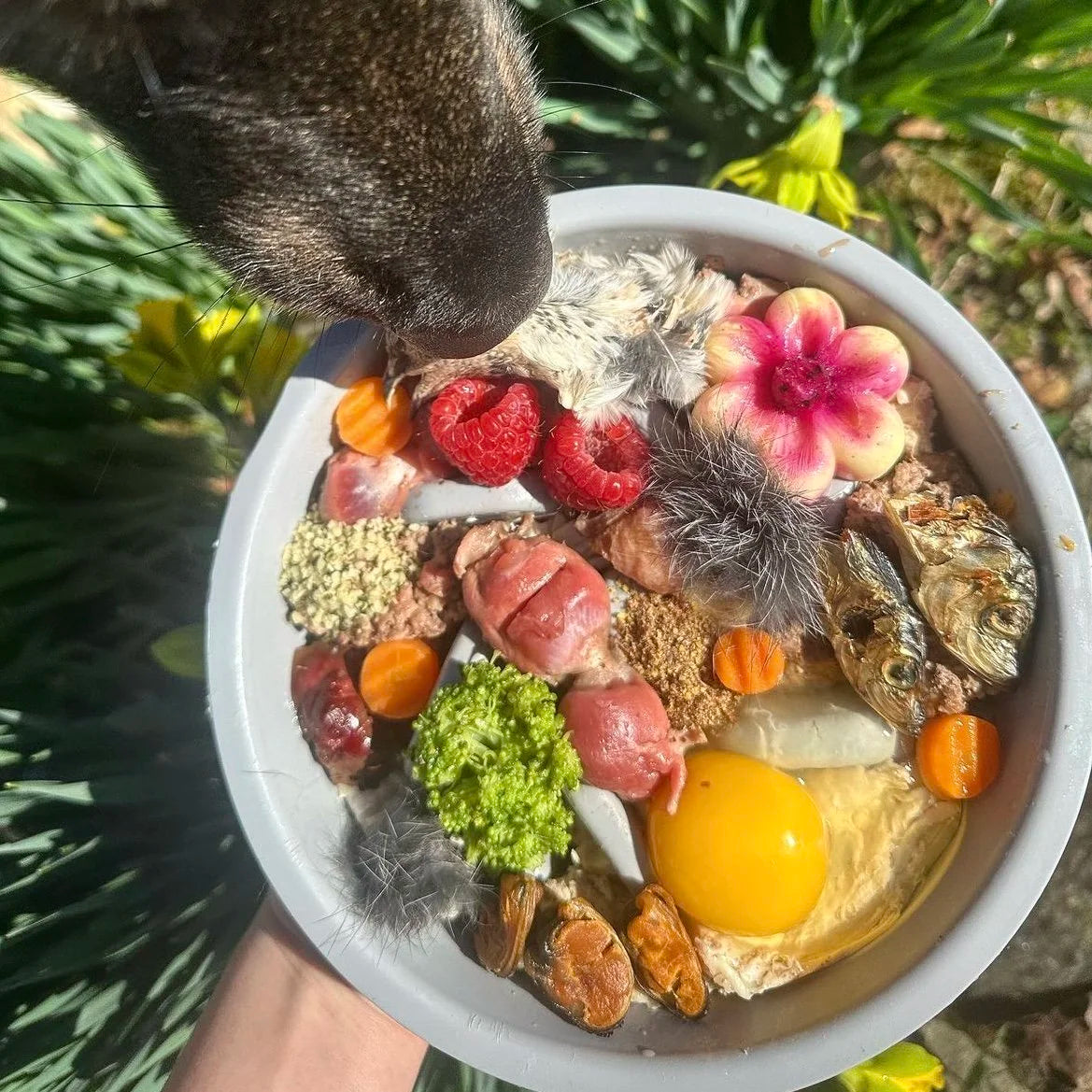 Rabbit Hide Pet Treats