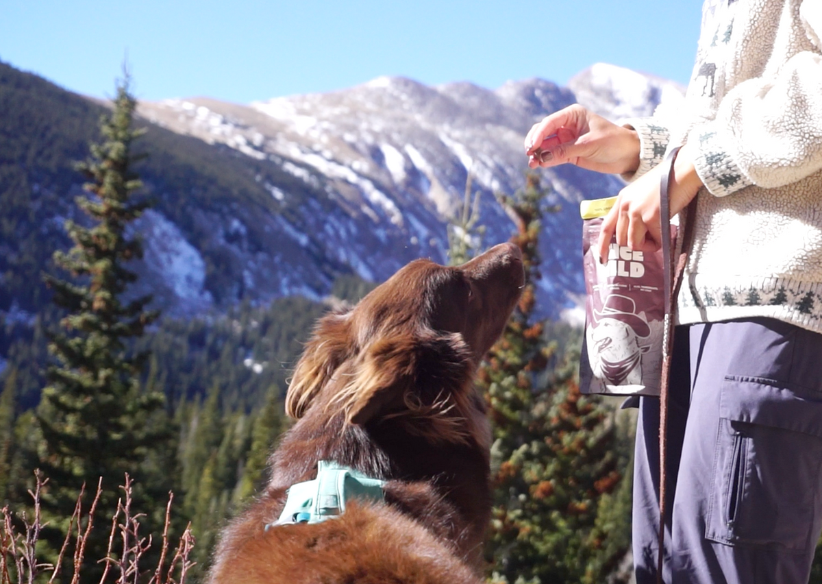 Bison Organ Blend Treats