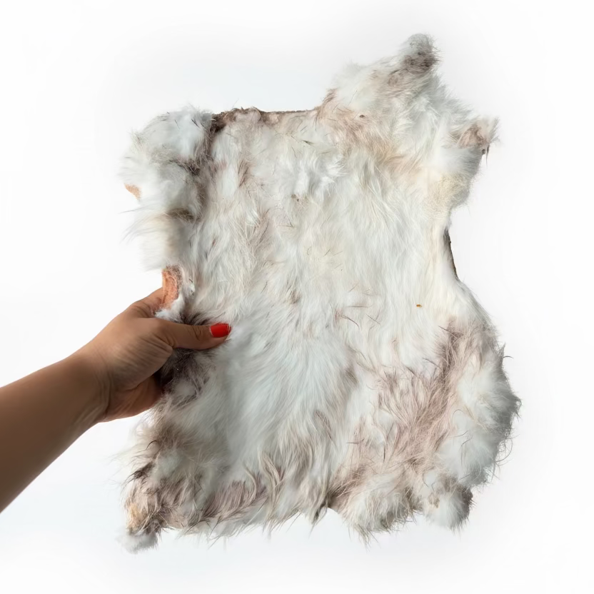 Rabbit Hide "Platter" (1pc)
