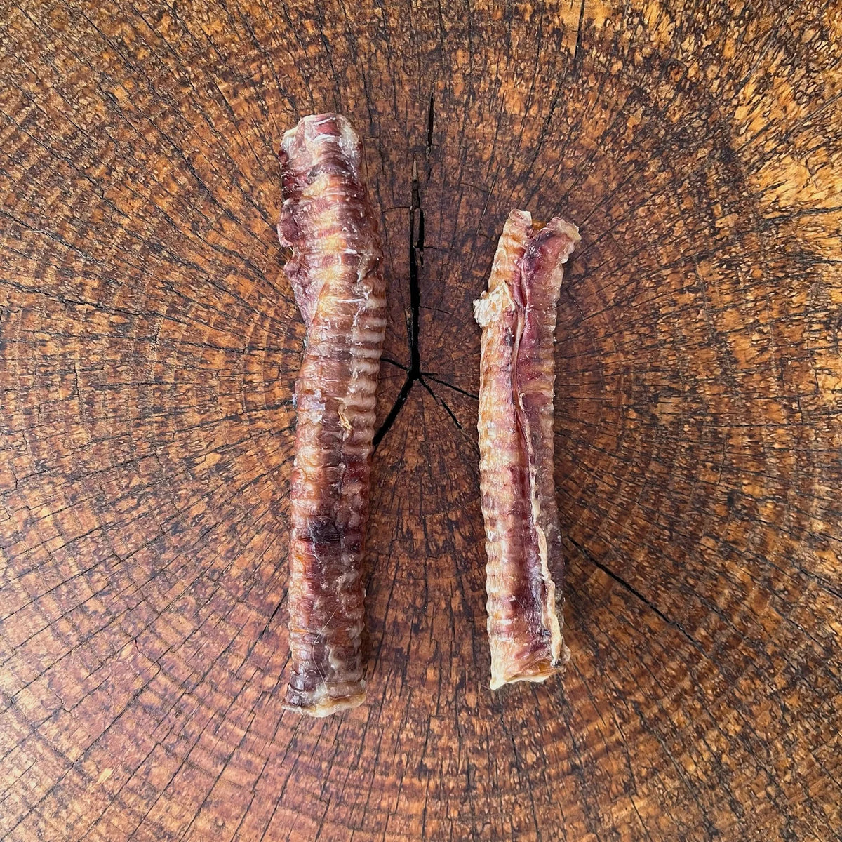 Lamb Trachea Dog Chews