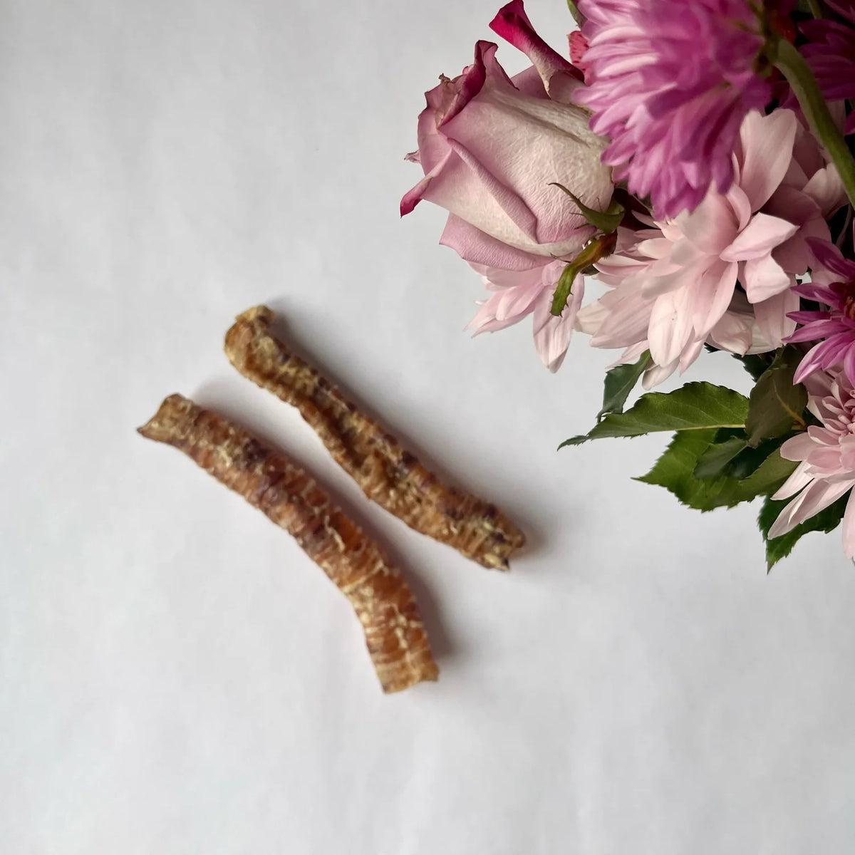 Lamb Trachea Dog Chews