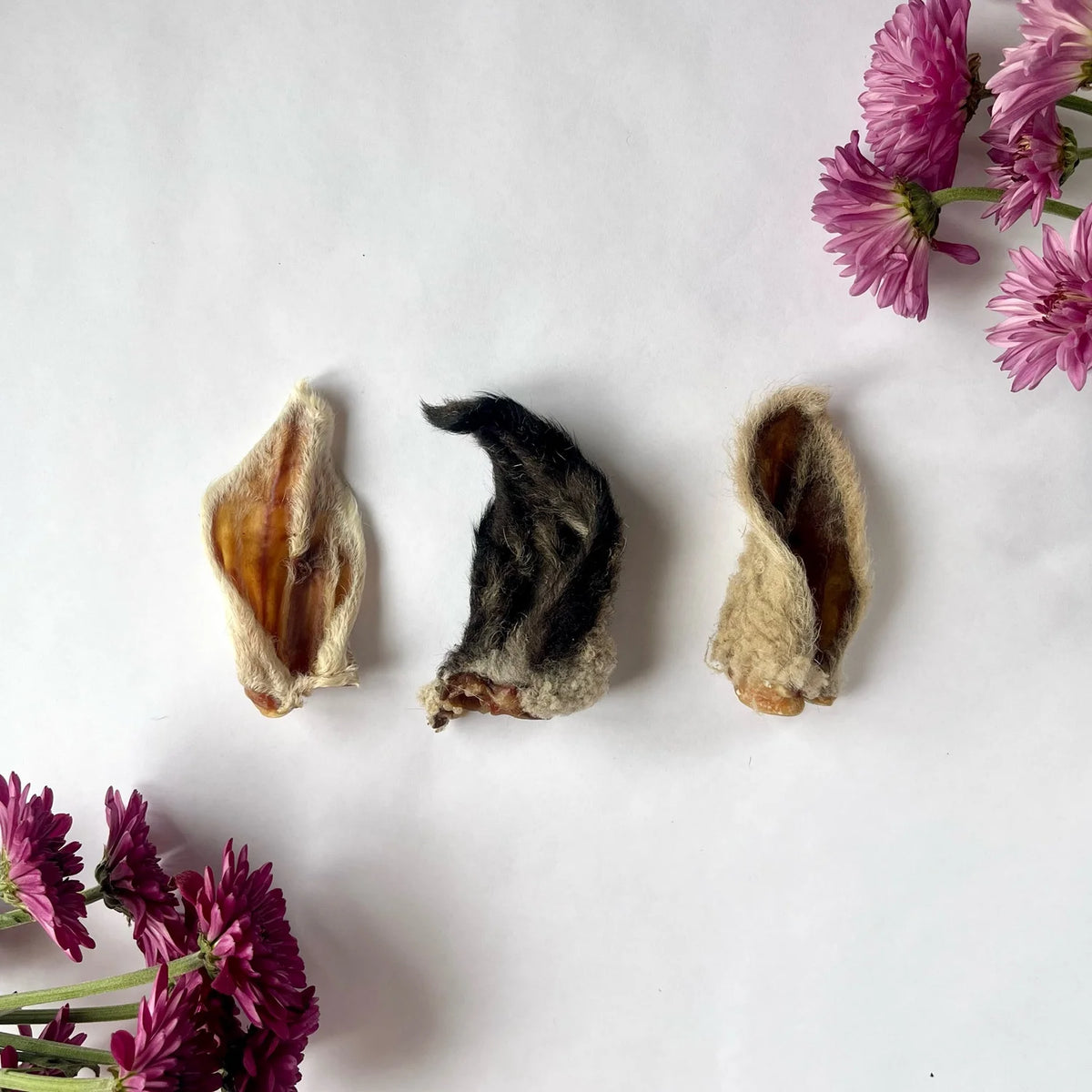 Lamb Ear (1 piece)
