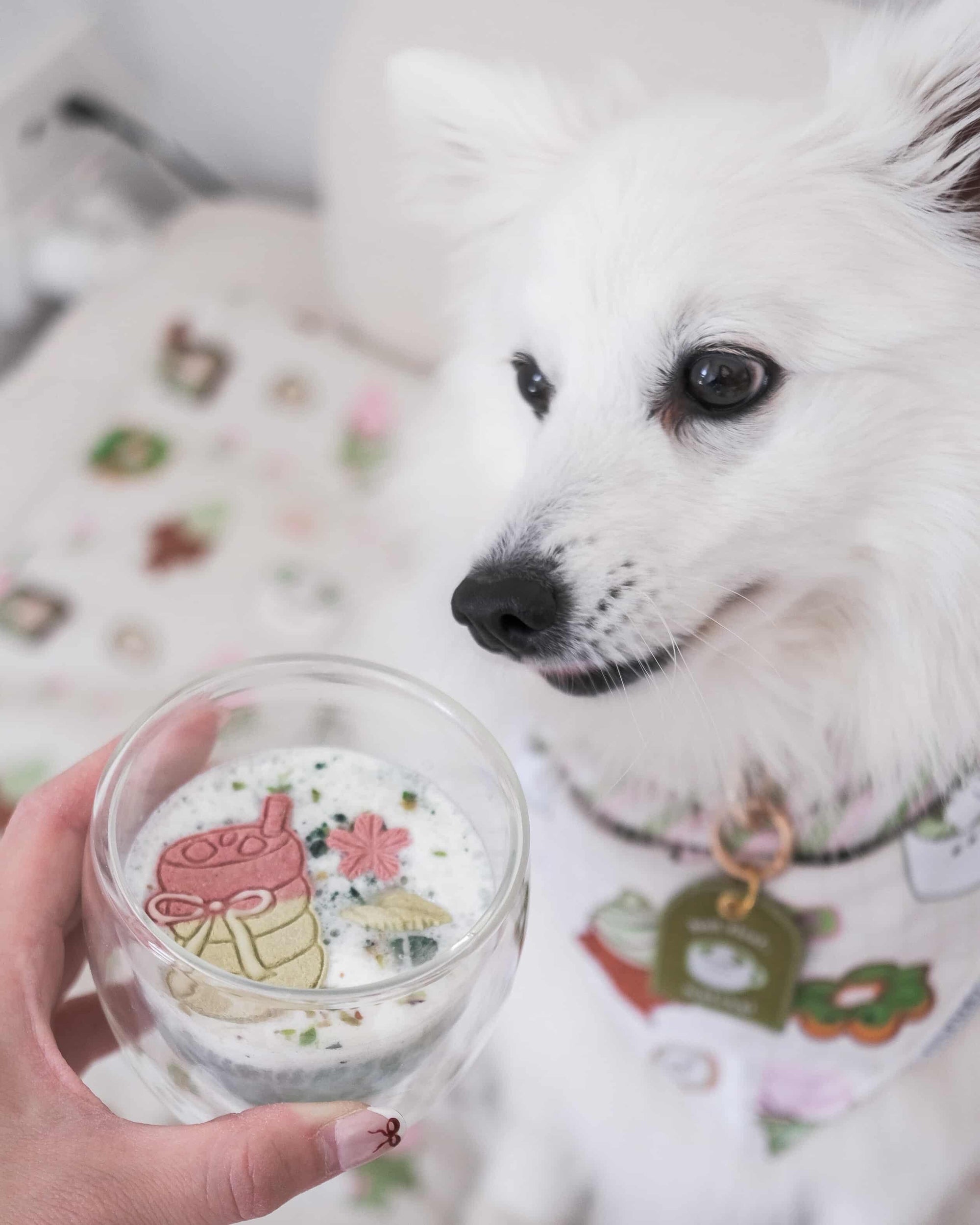 Matcha Lovers