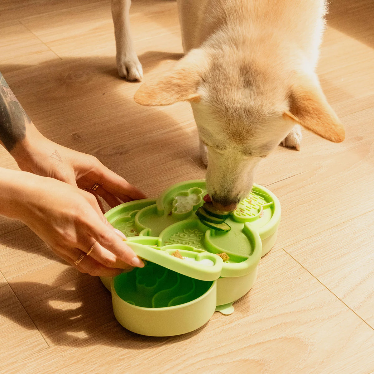 cloud nine lick mat &amp; lid | honeydew