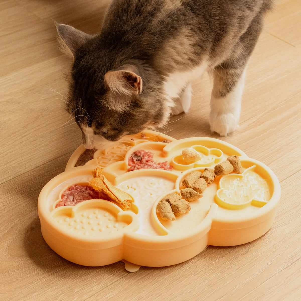 cloud nine lick mat &amp; lid | clementine