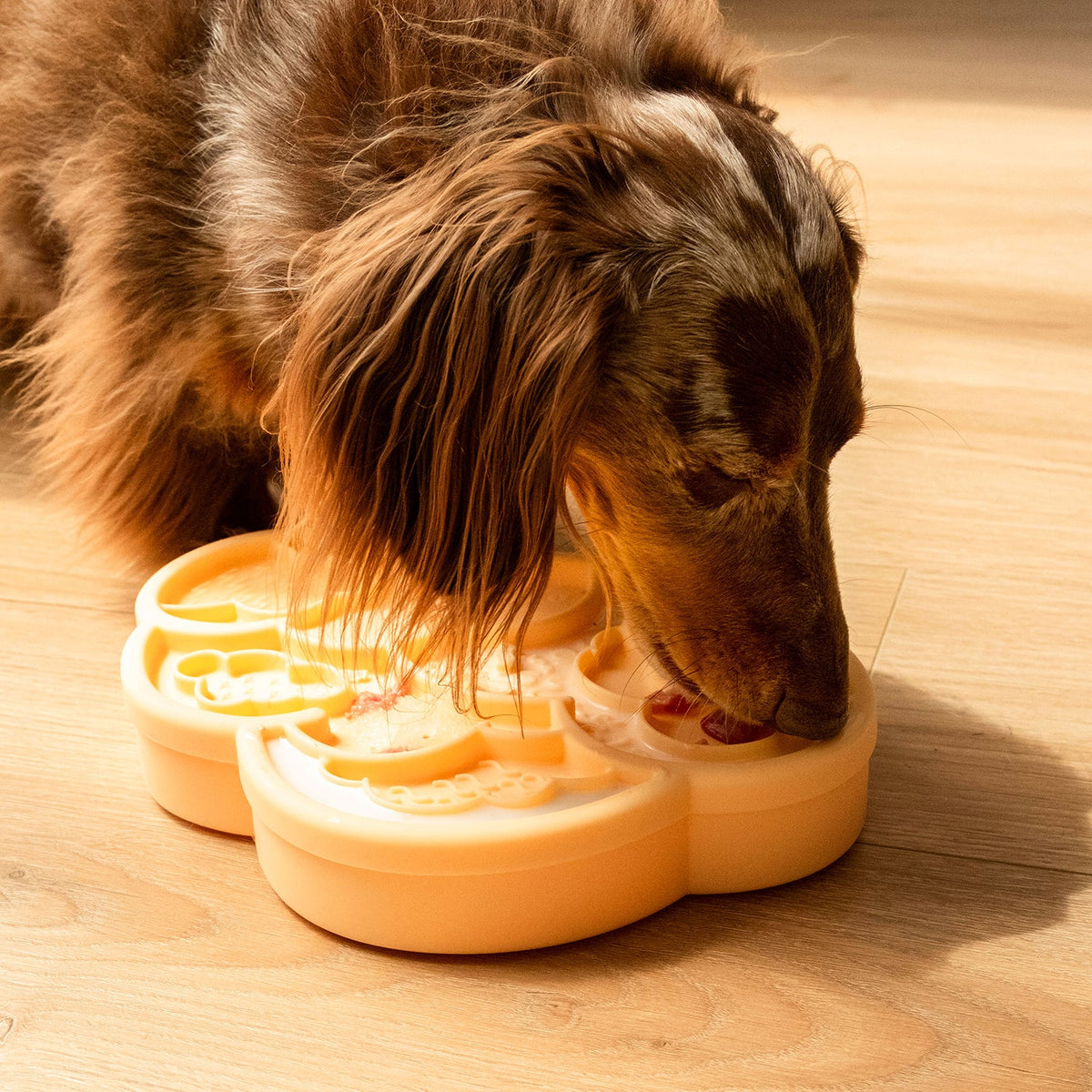 cloud nine lick mat &amp; lid | clementine
