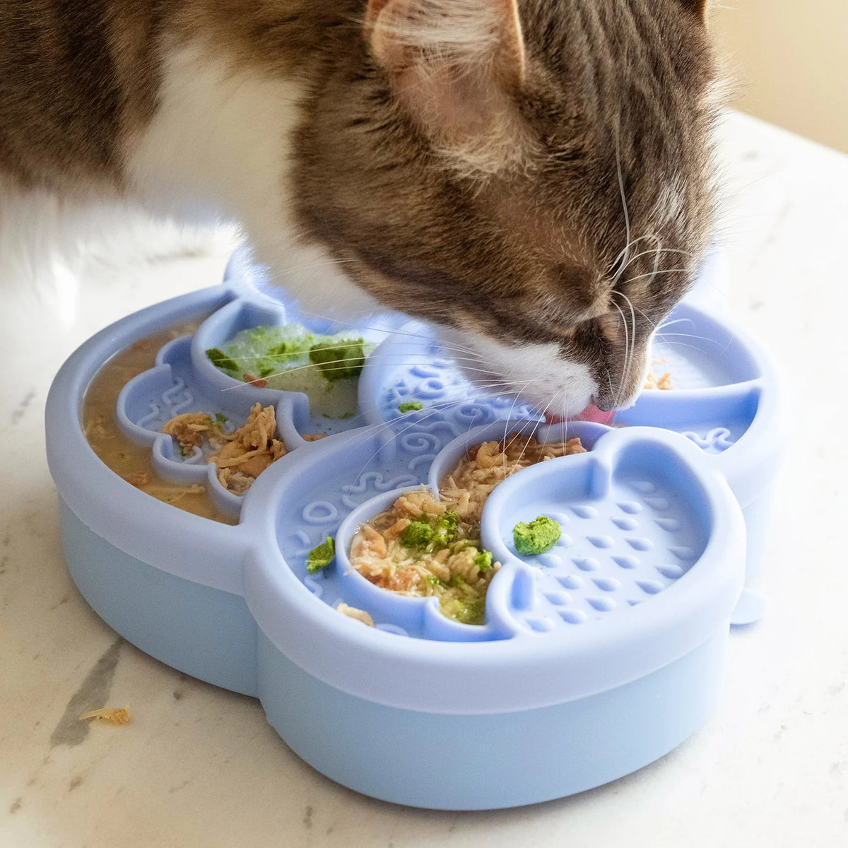 cloud nine lick mat &amp; lid | cornflower