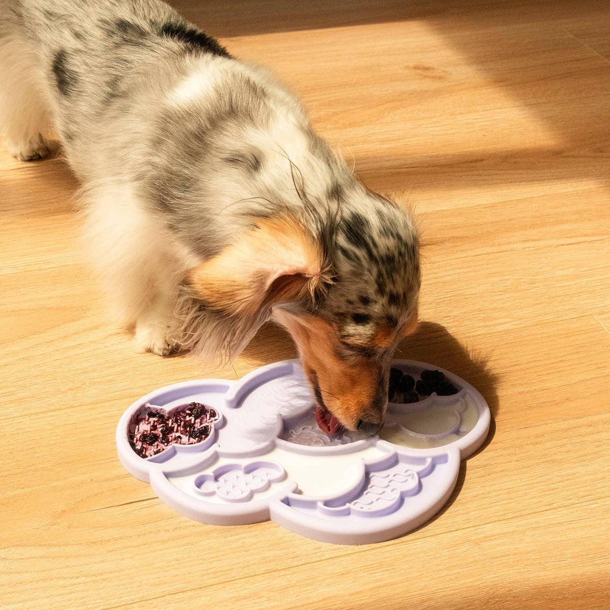 cloud nine lick mat &amp; lid | viola