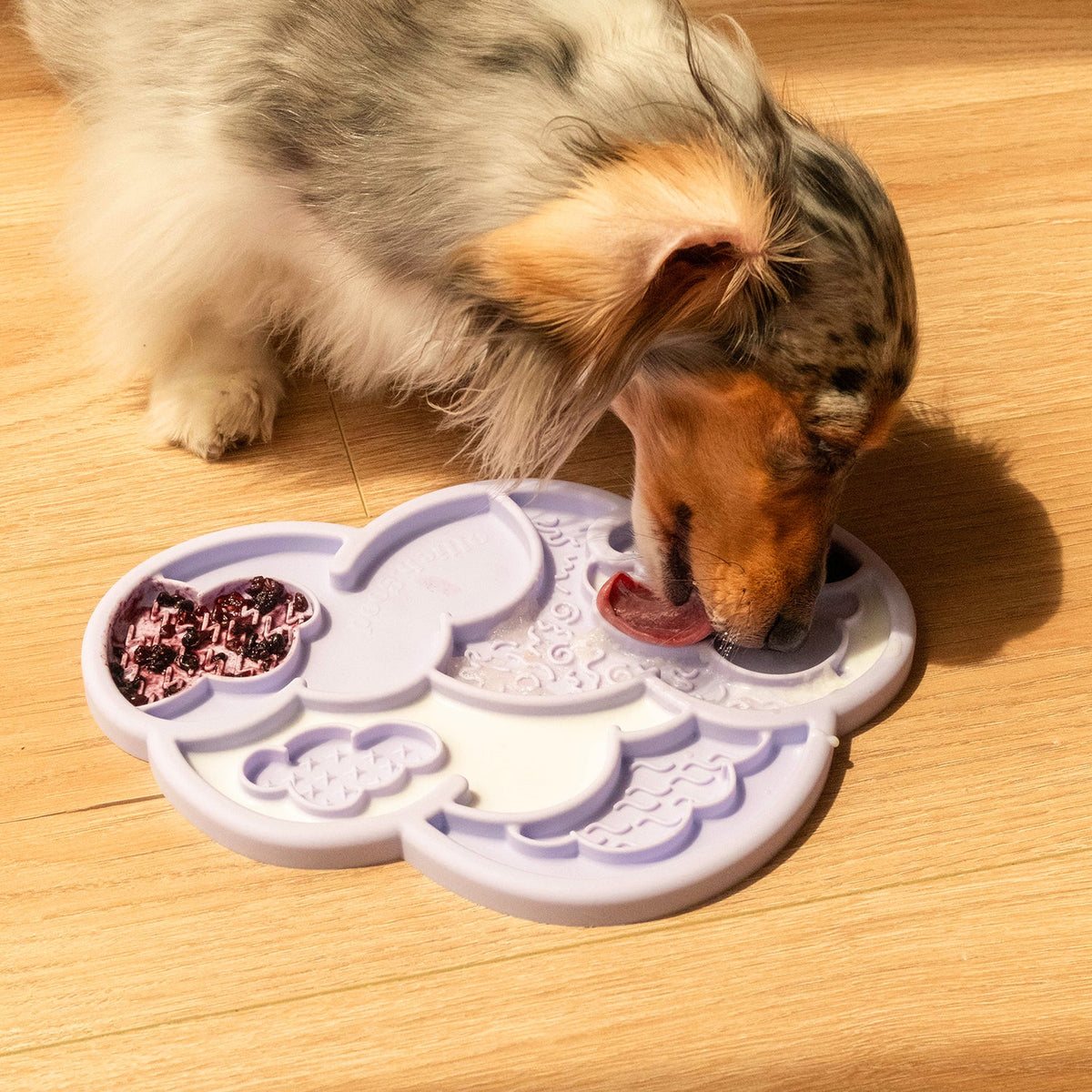 cloud nine lick mat &amp; lid | viola