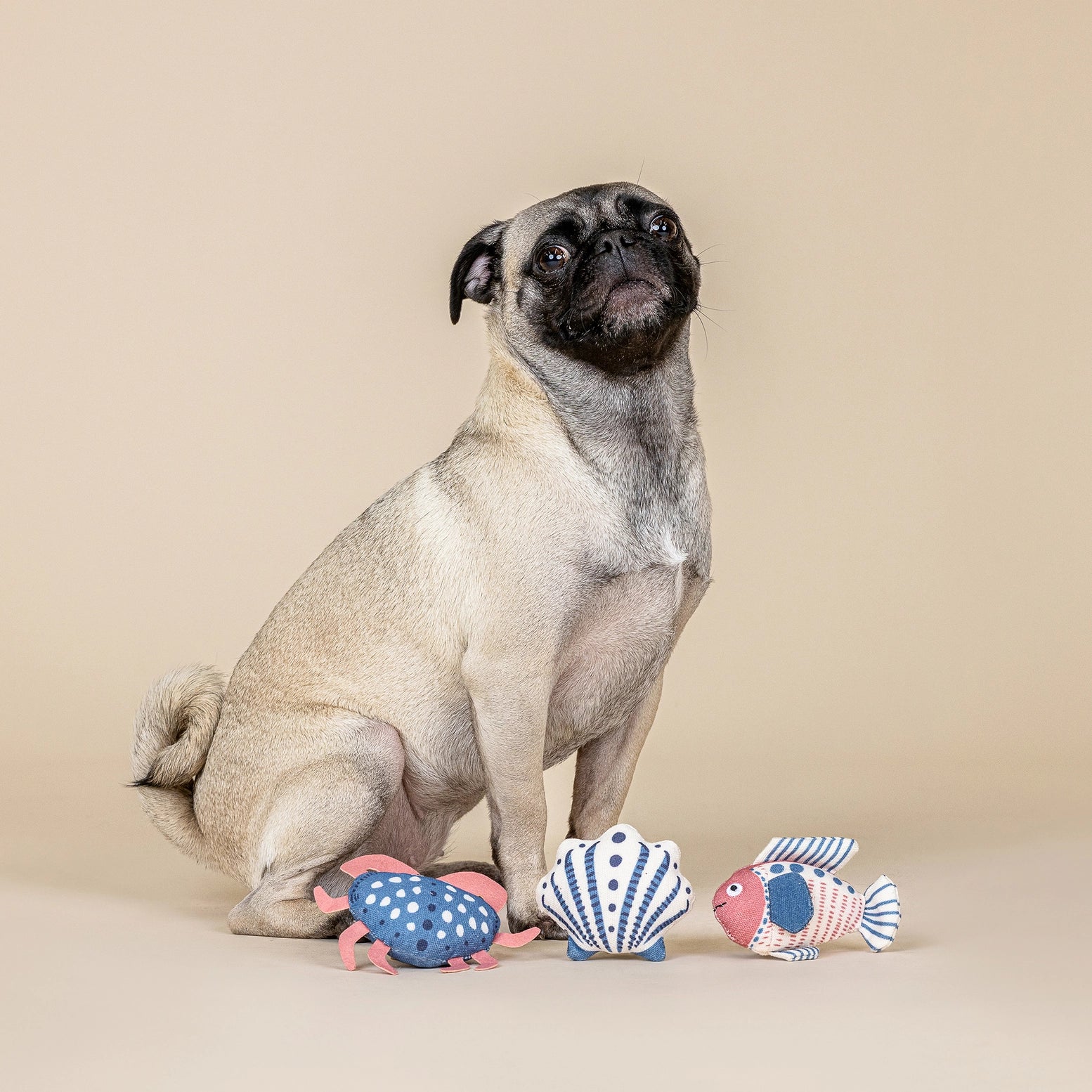 High Tides Canvas Toys