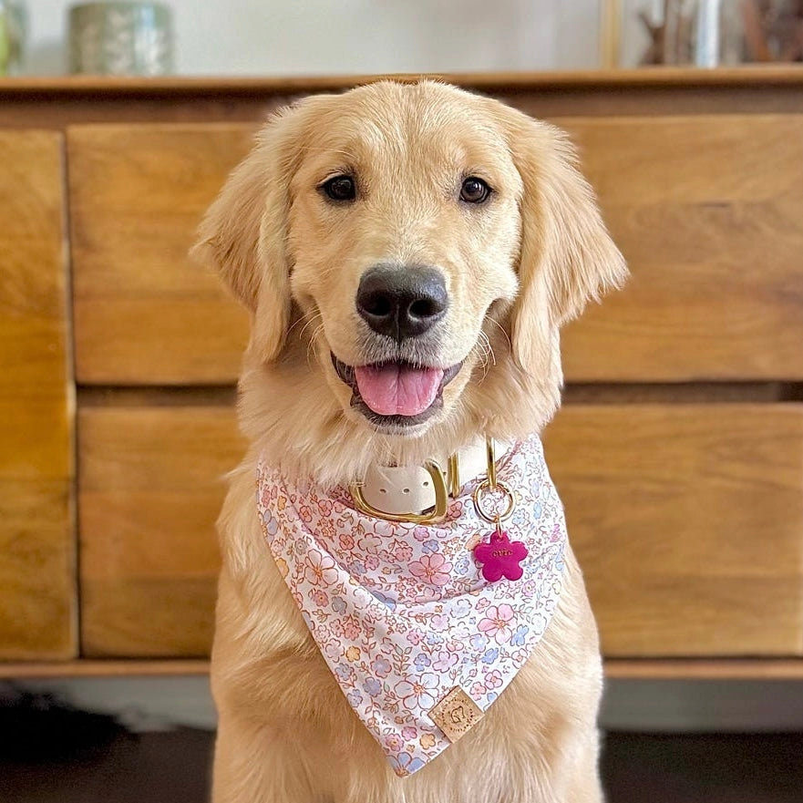 Dog wearing a floral bandana with a wooden cabinet in the background