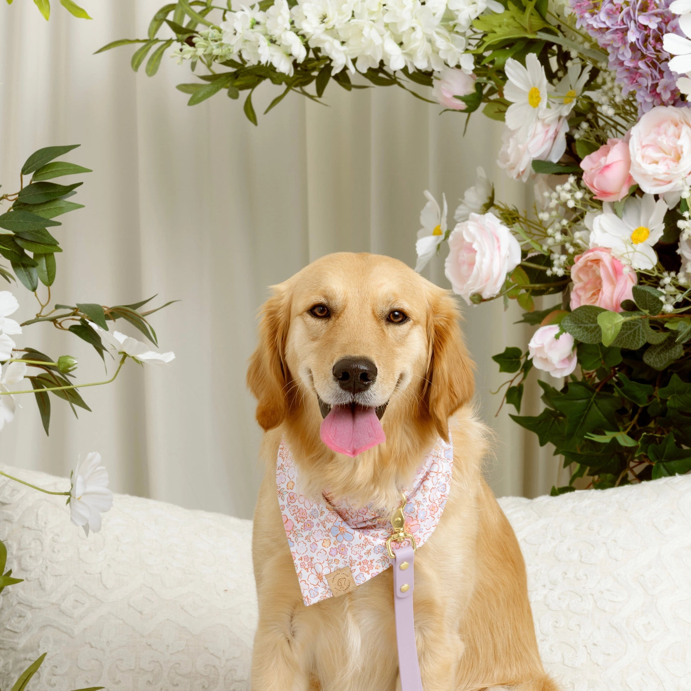 Dog wearing a floral bandana sitting on a couch with floral decorations.