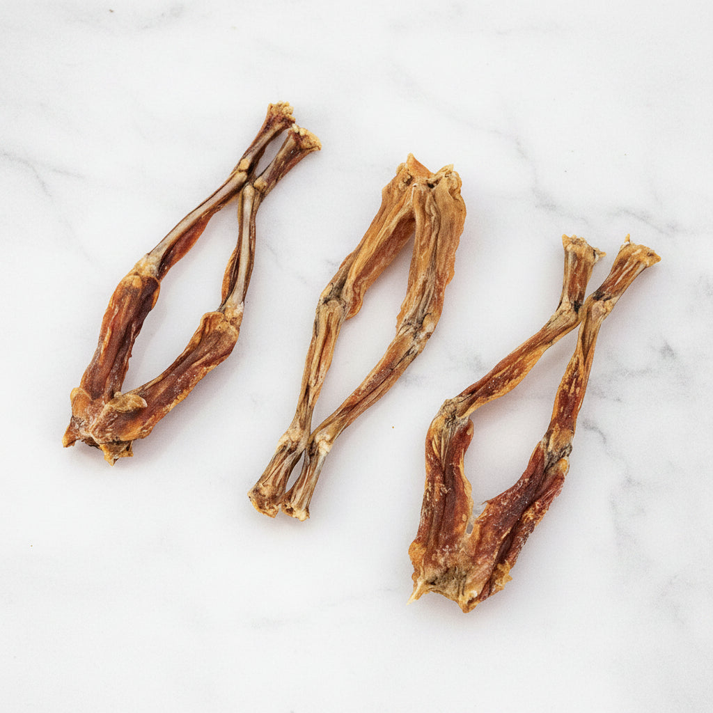 Dehydrated Frog Legs