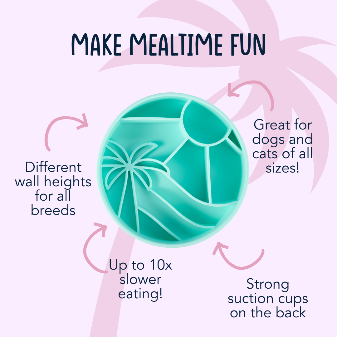 Loco Coco Slow Feeder