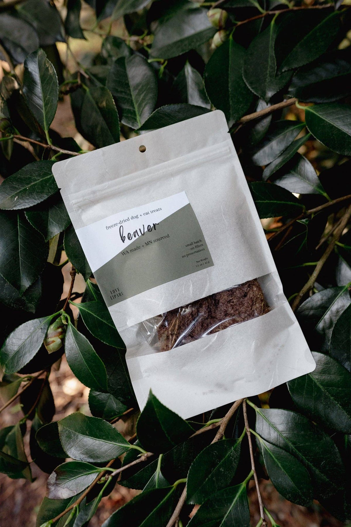 Beaver (large pack)
