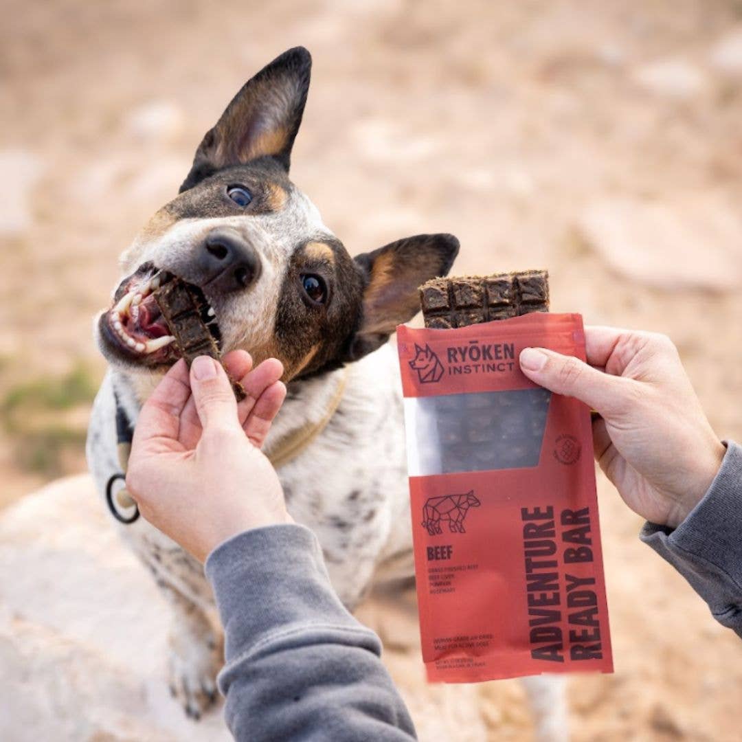 Beef Treat Bar