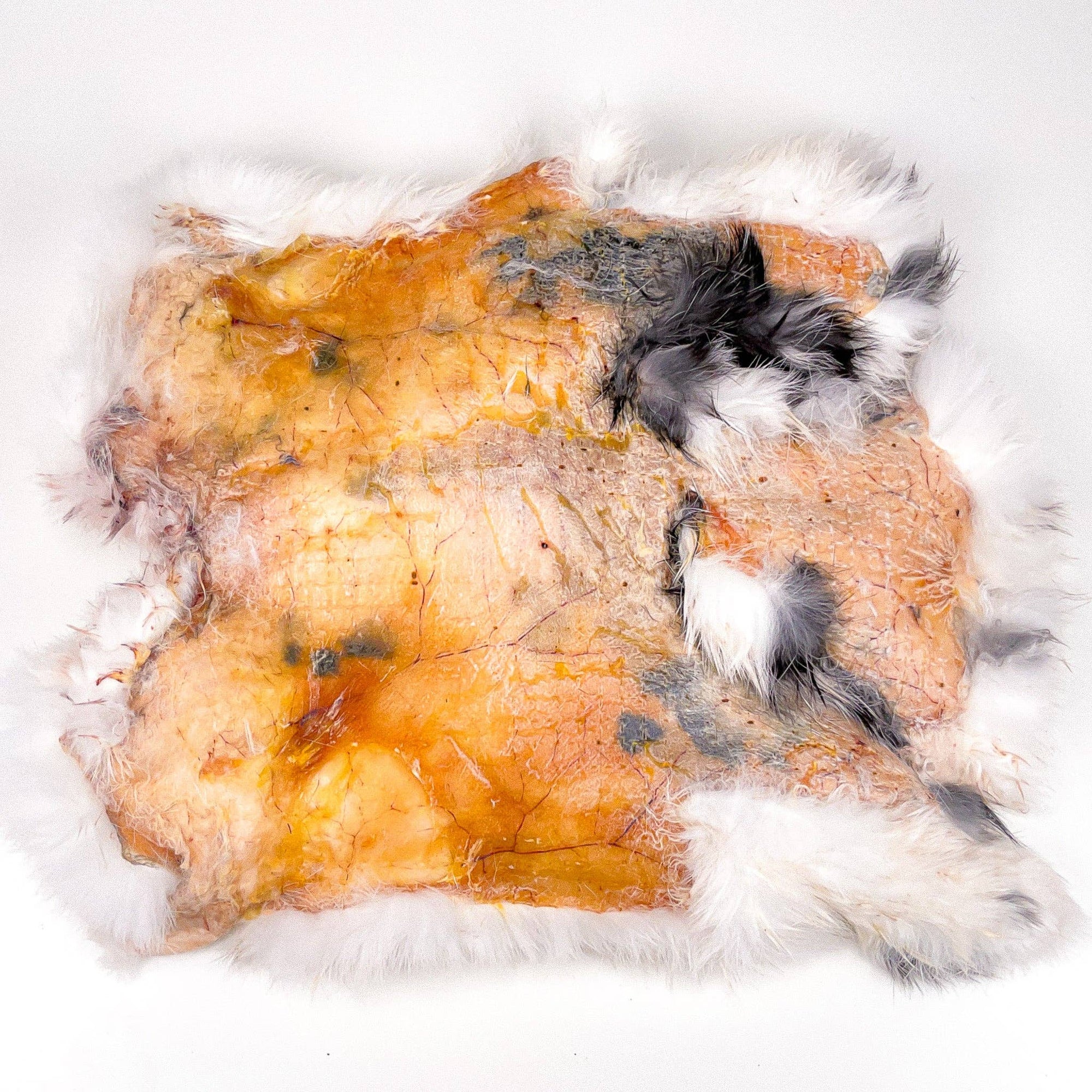 Rabbit Hide "Platter" (1pc)