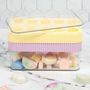Frozen Treat Container