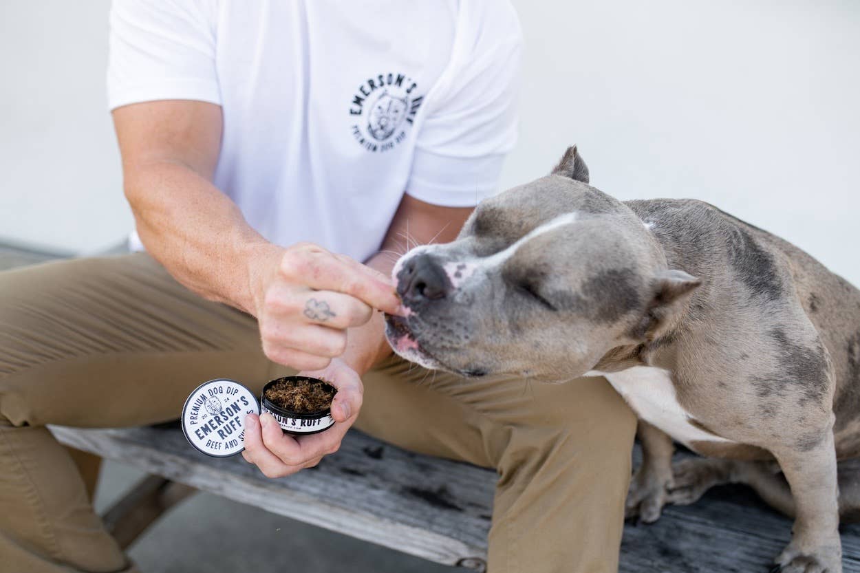 Premium Dog Dip - Beef &amp; Shrooms