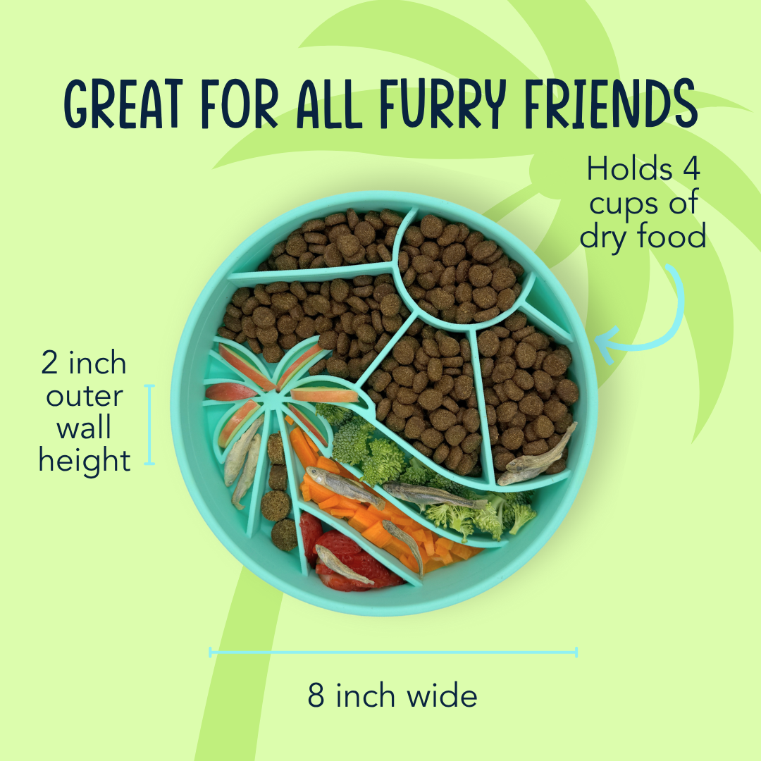 Loco Coco Slow Feeder