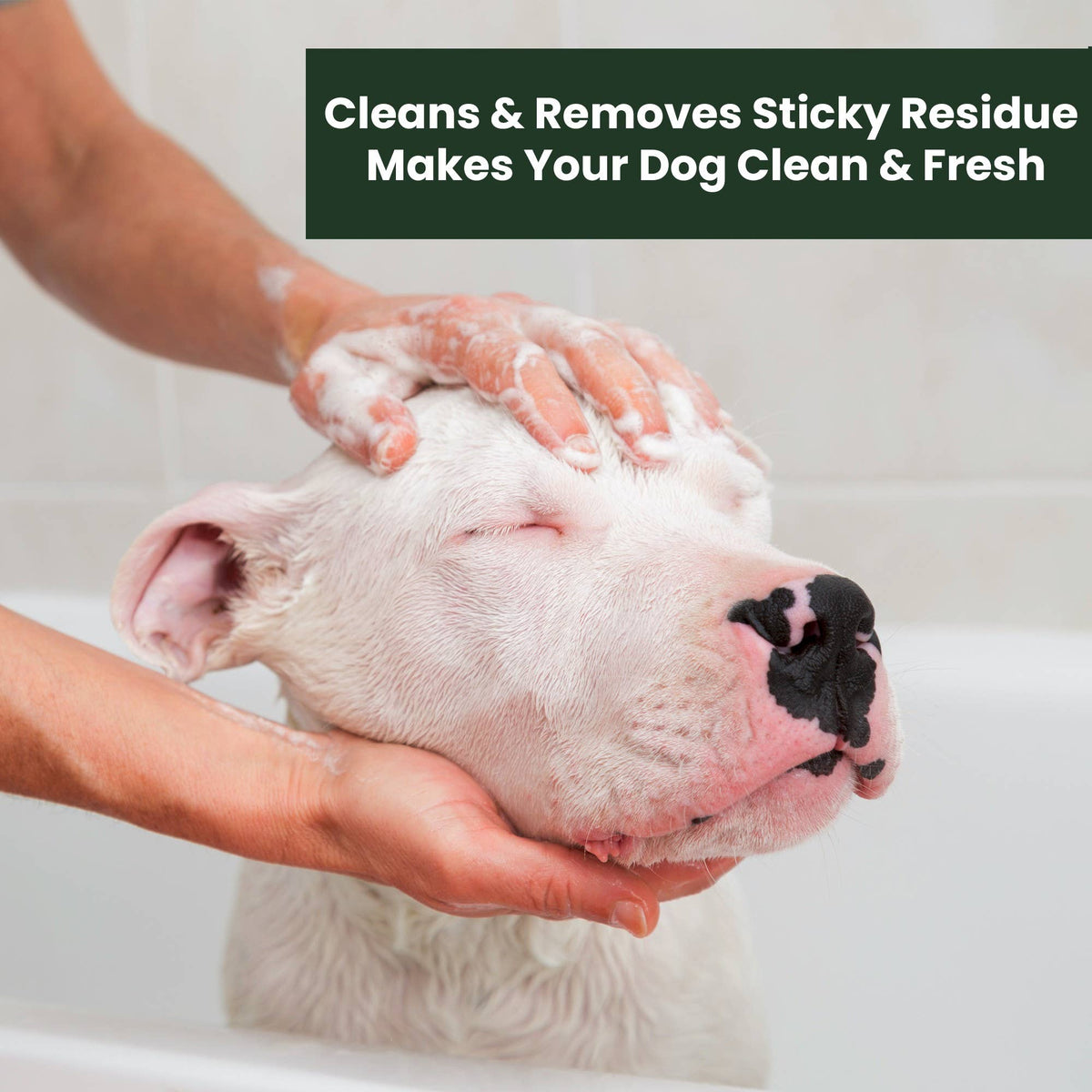 Cucumber Aloe Organic Facial Scrub for Dogs — 13.5 oz.