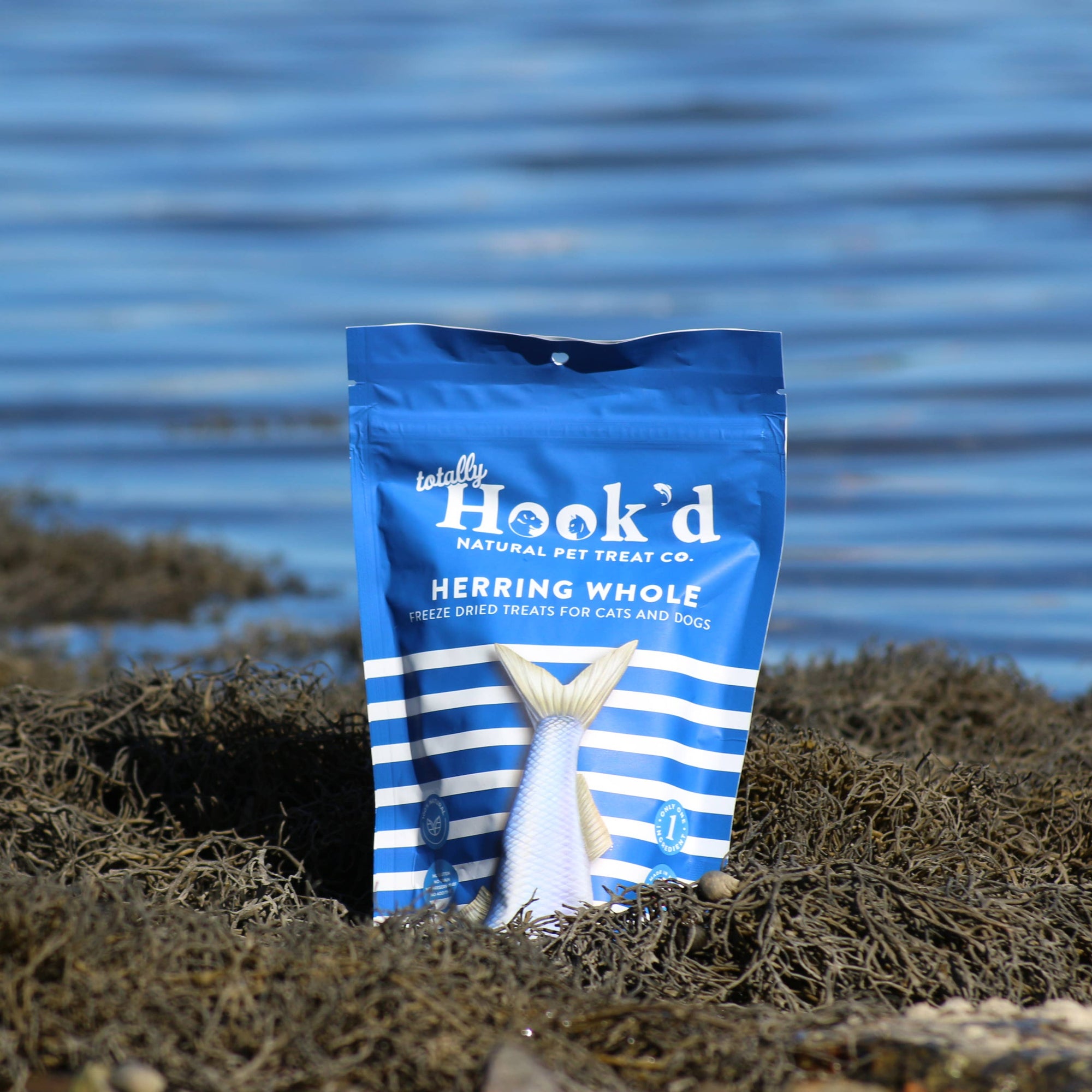 Freeze-Dried Herring