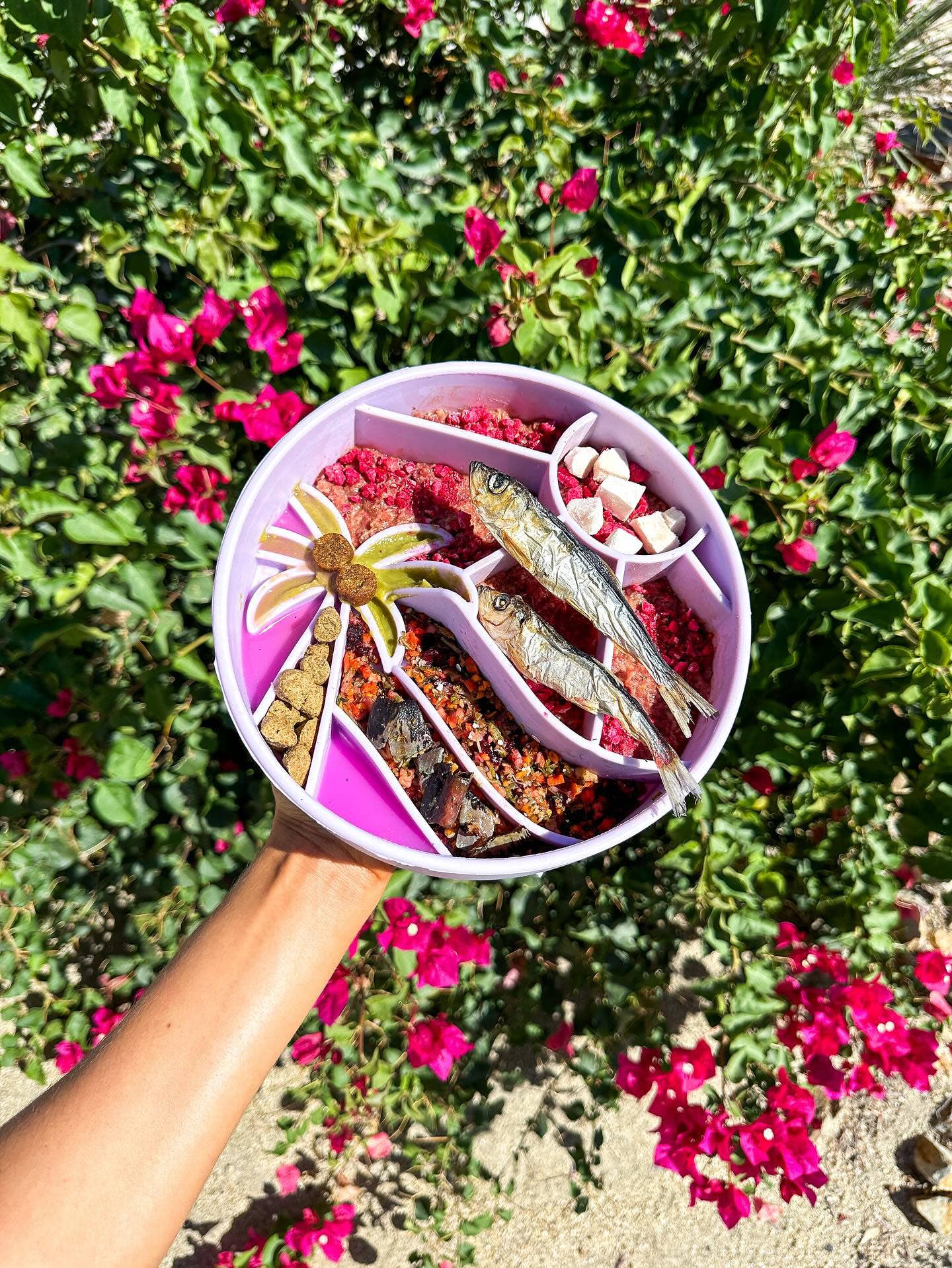 Loco Coco Slow Feeder